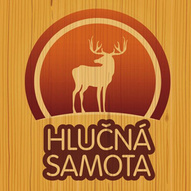 Hlučná samota 2013 