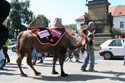 20. výročí založení firmy Maděra a Šípek